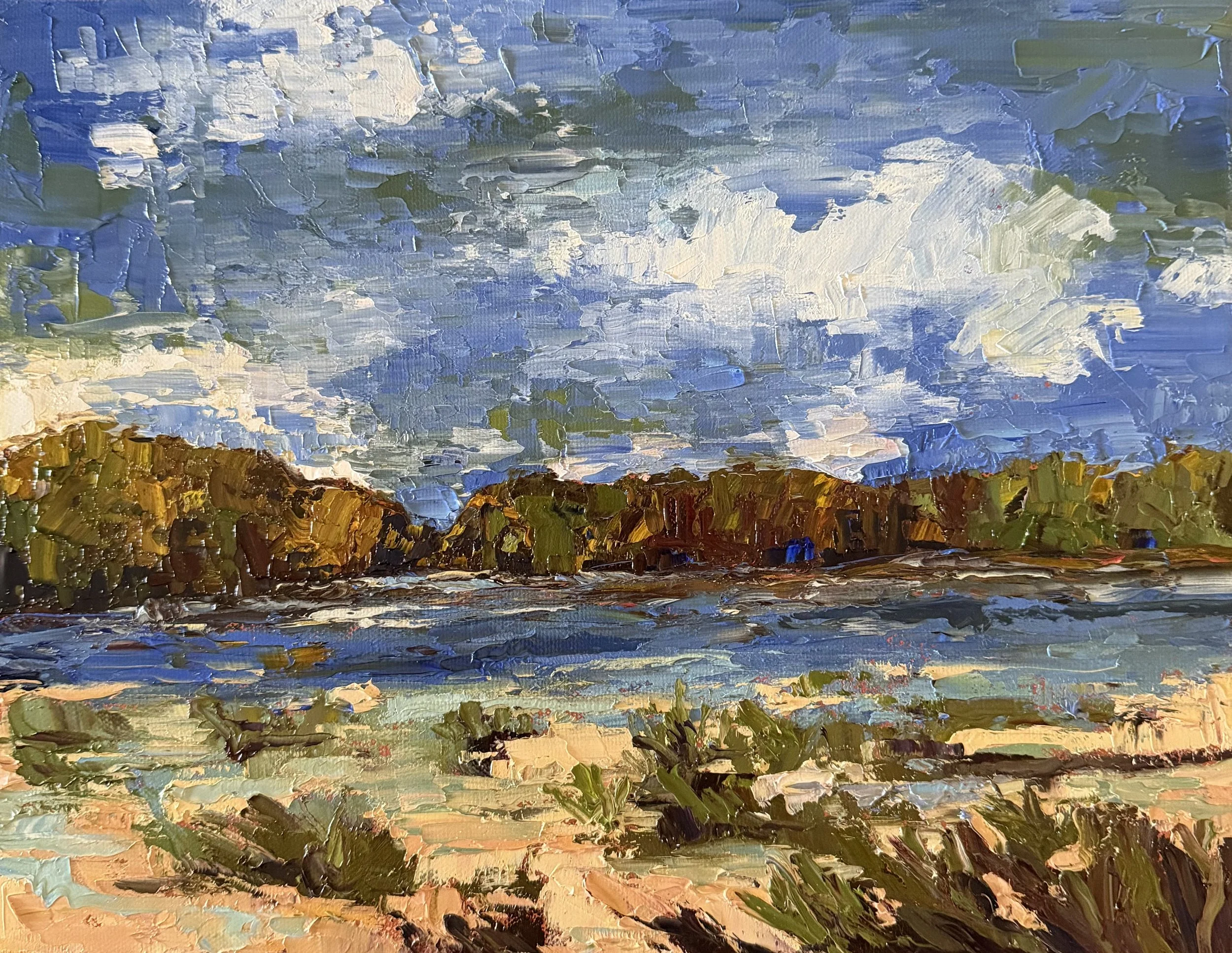 Oil on Canvas 6"X10" Wetlands