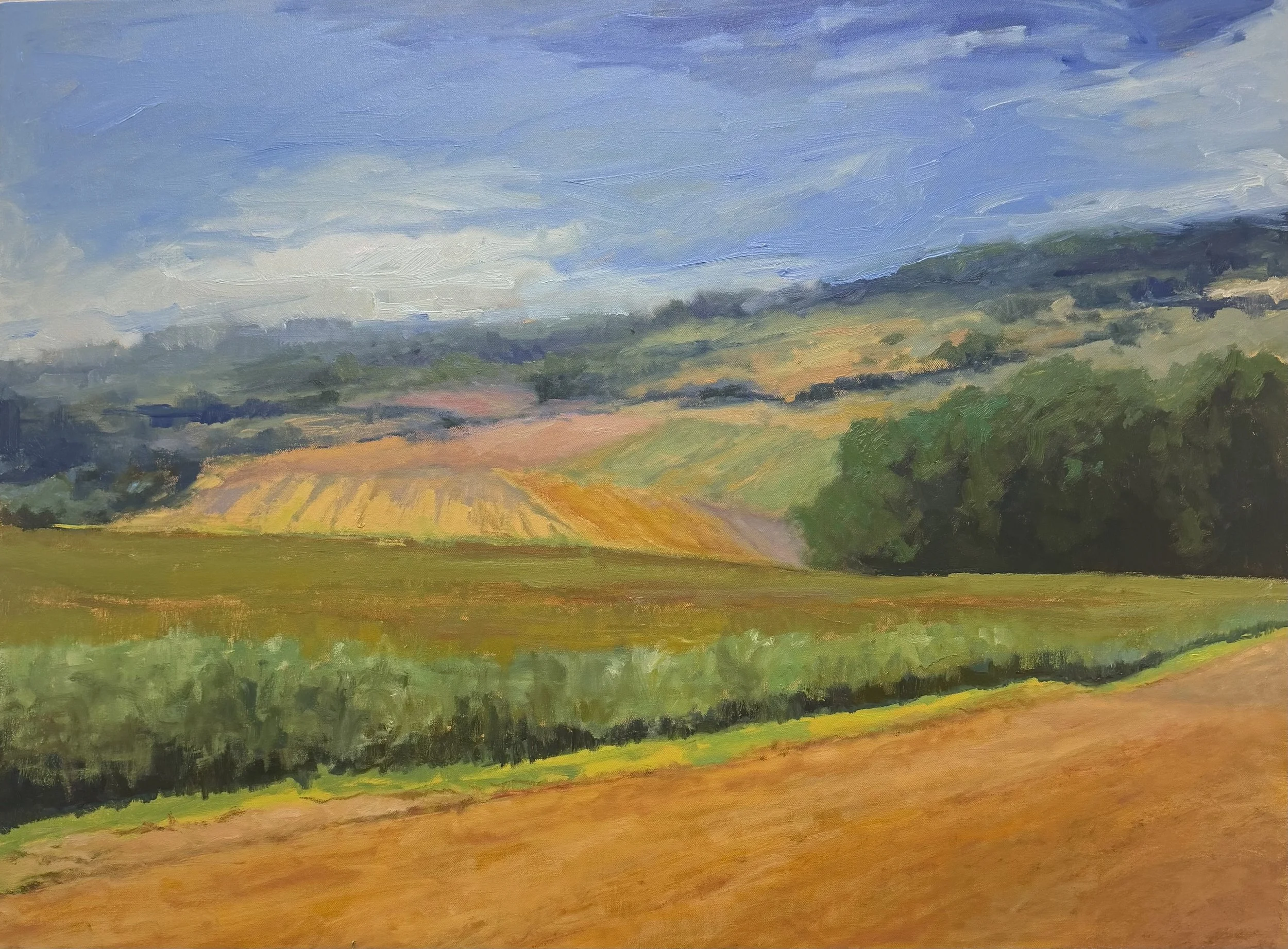 Oil on Canvas 36"X48" Michigan Country