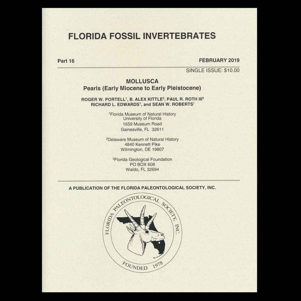 Florida Fossil Invertebrates 16 - MOLLUSCA - Pearls (Early Miocene to Early Pleistocene)