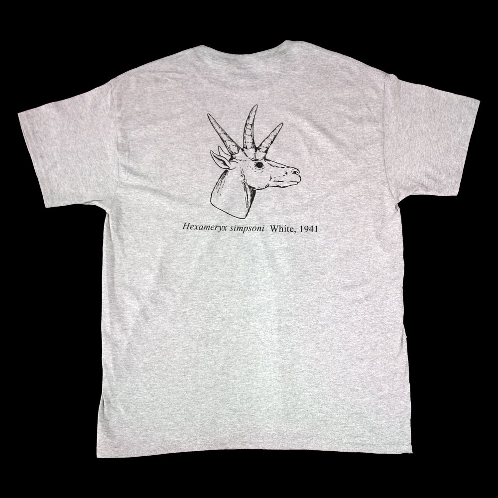 FPS-shirt1 new.jpg