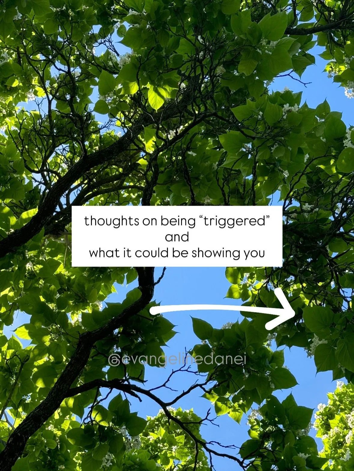old wounds will rise up to meet us when we least expect them; the triggers, old hurts, frustrations, and insecurities that [often] stem from our childhood. 

when they do, have compassion for yourself, and let your body safely began to feeeeeel the e