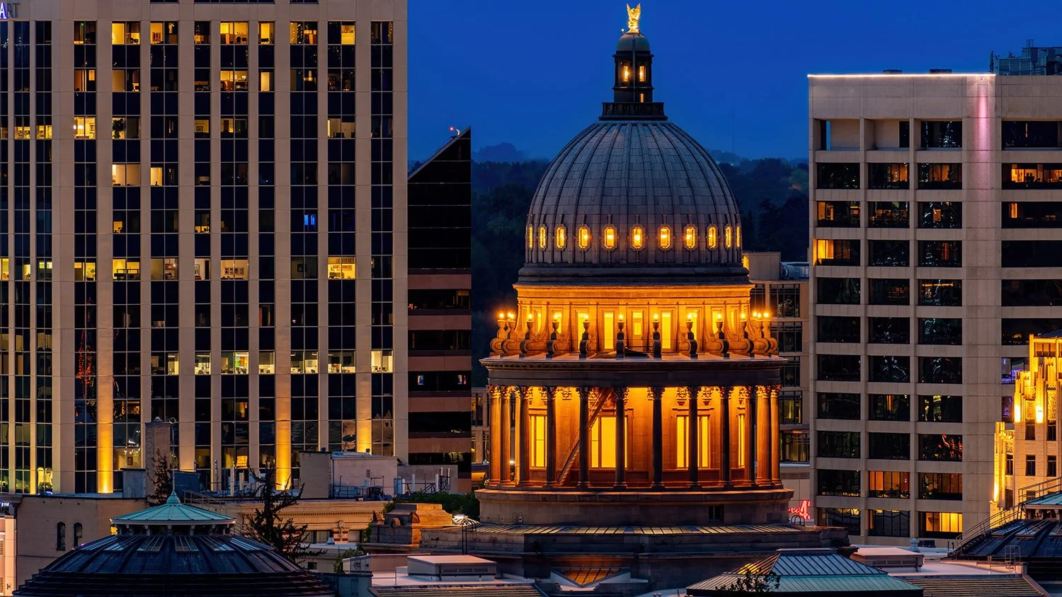 Political SEO and Online Reputation Management for republican state legislative campaigns and candidates