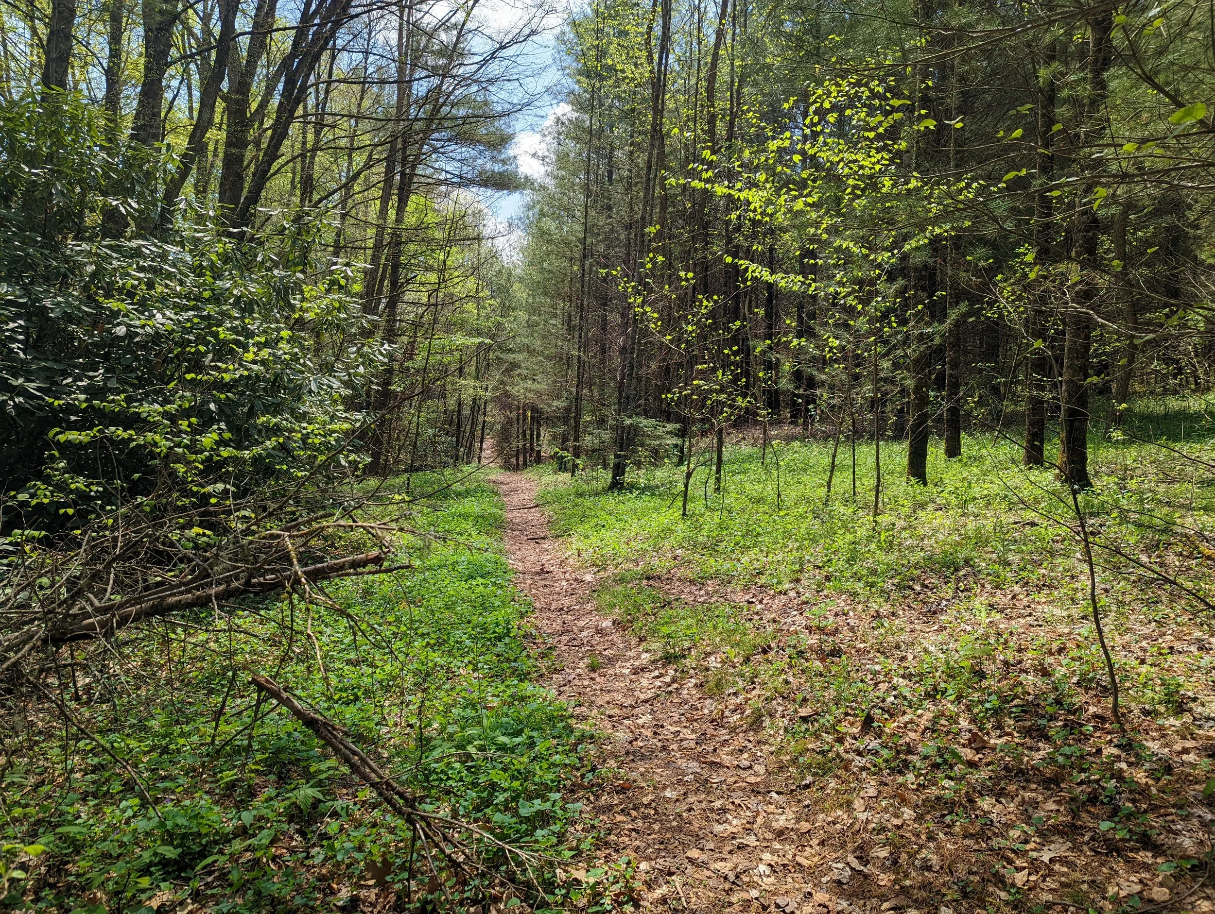 Edward Baker Preserve