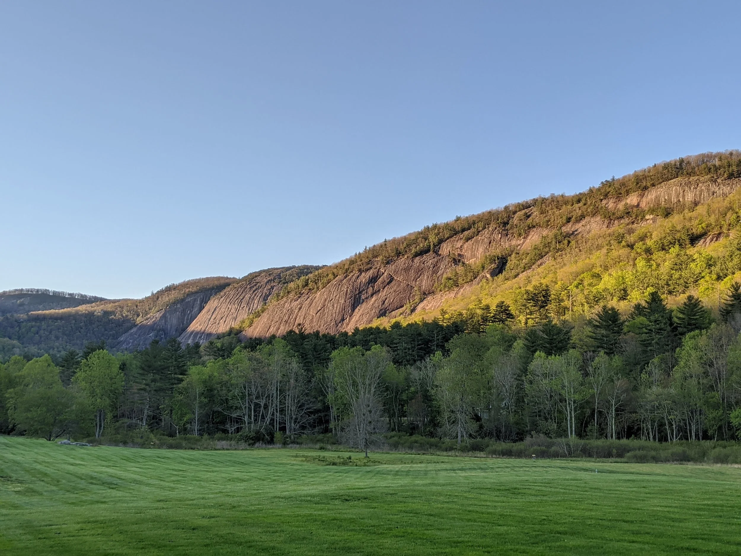 Conserving Your Property with a Conservation Easement