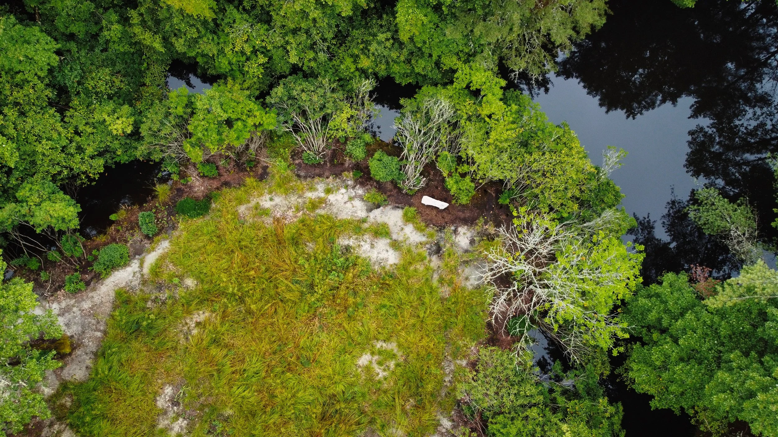 Aerial view of a landscape featuring lush green trees, a small body of water, and sandy patches.