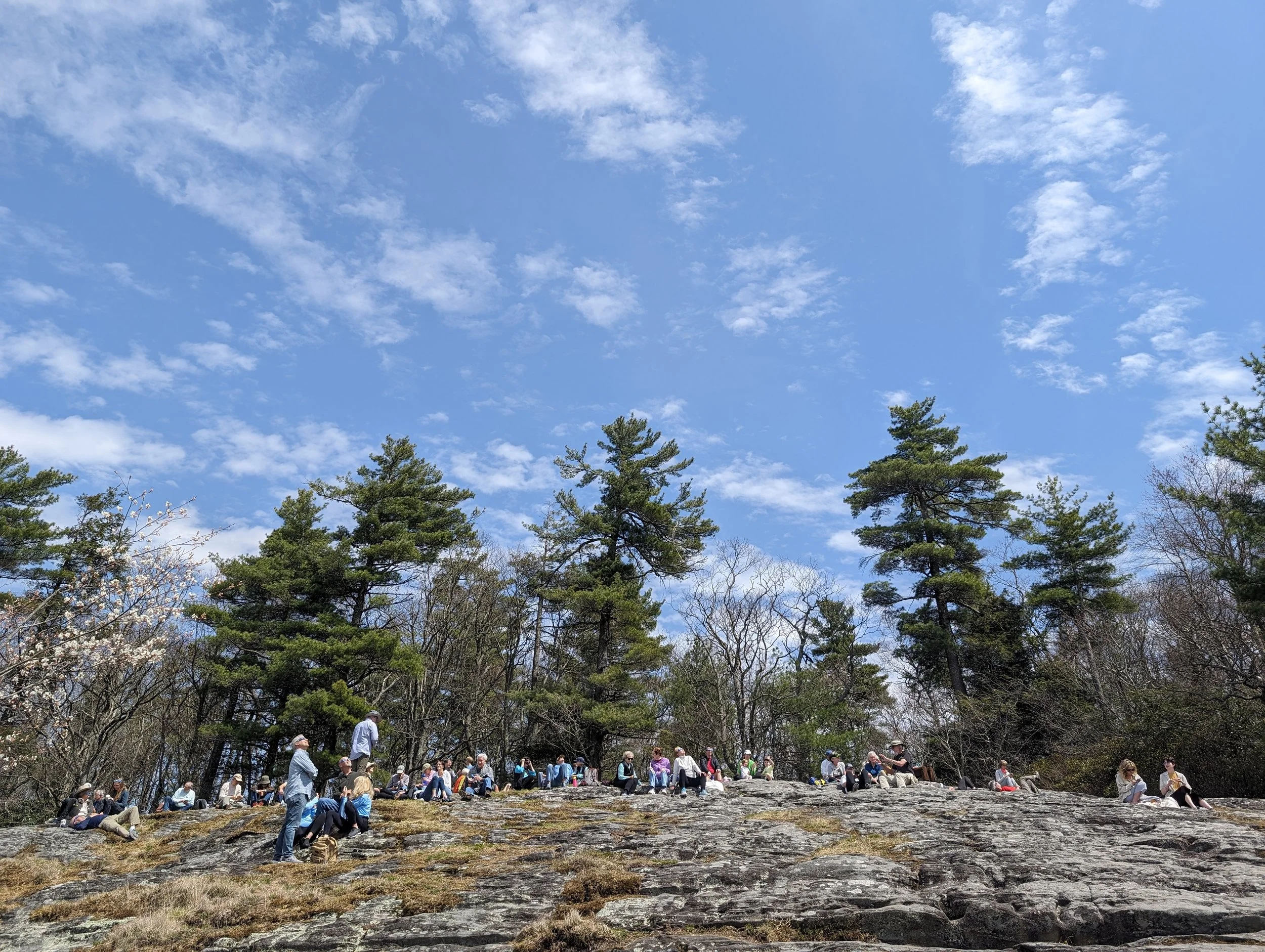 PXL_20240408_184825185 (1).jpg