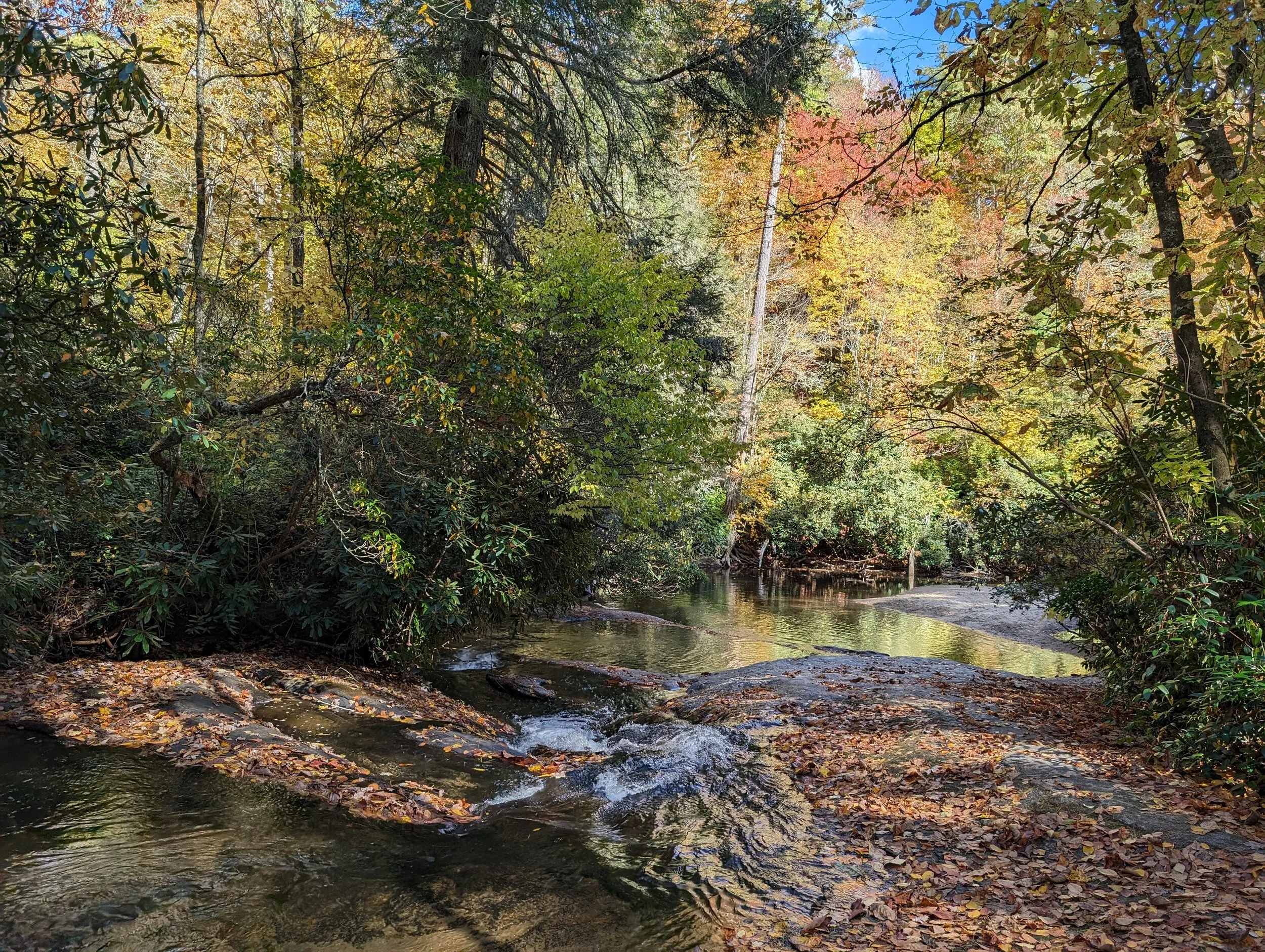 A peaceful forest scene with a small creek flowing over rocks, surrounded by green and autumn-colored trees.