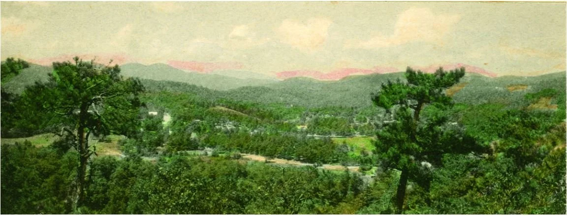 A painted landscape of a forested valley with rolling hills and trees in the foreground, under a sky with pink clouds.