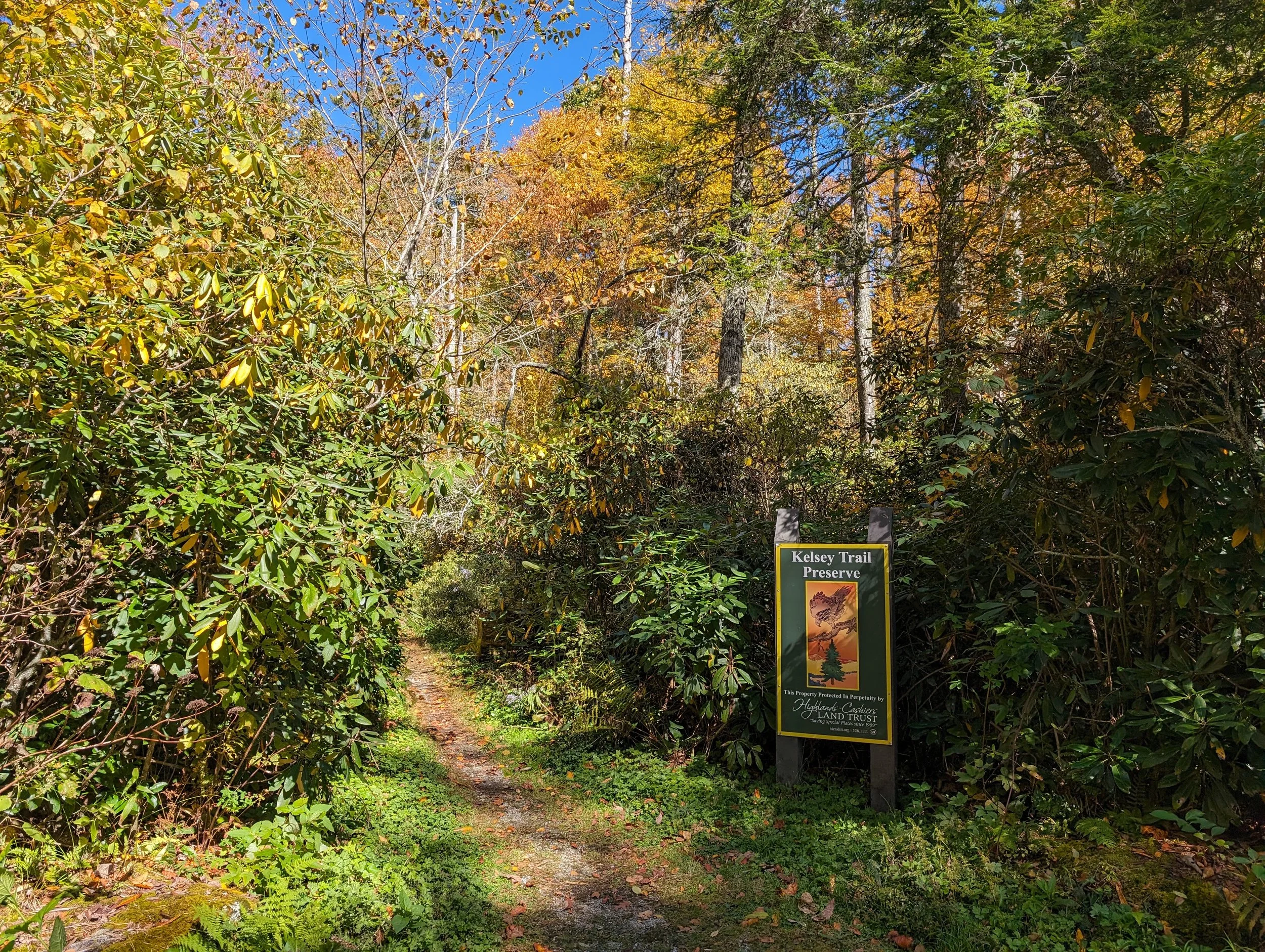 A trail through a forest with green and yellow foliage, and a sign indicating Kelsey Trail Preserve on the right side.