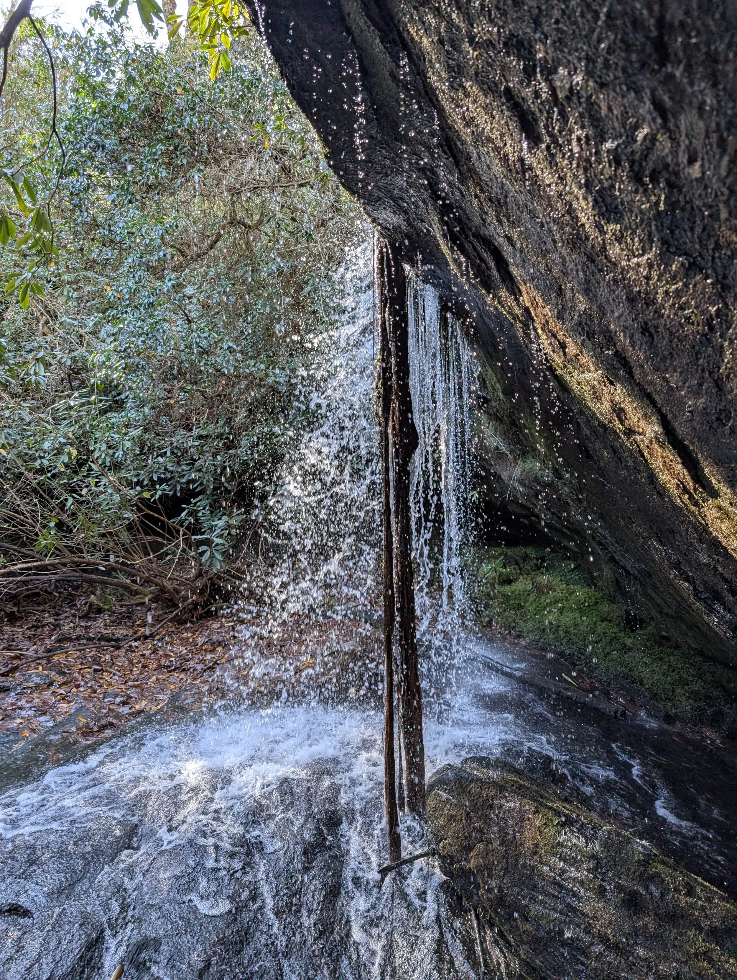 Stream flowing over a cliff side with green foliage around