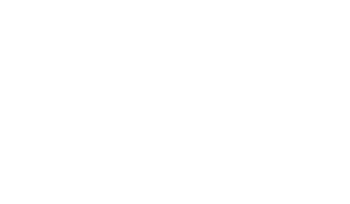 LSV Consulting