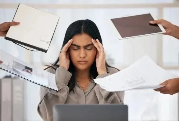 Building Resilient Human Services Agencies: Strengthening Your Agency From Within 