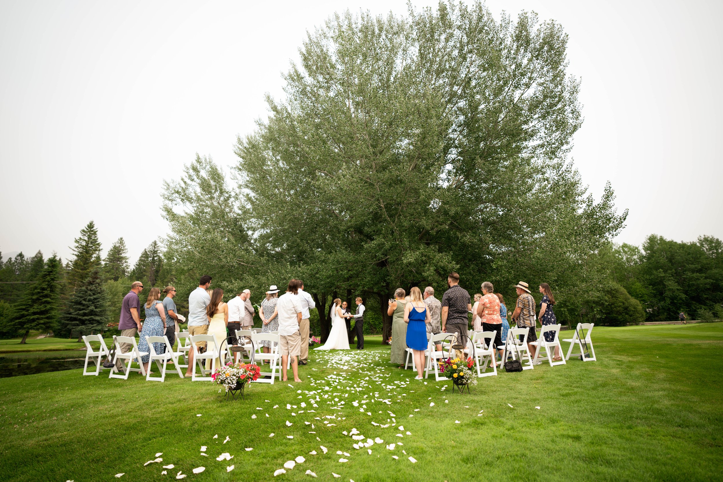 Outdoor wedding ceremony taking place on the grass beneath a large leafy tree, with guests standing, white chairs, and flower arrangements along the aisle.