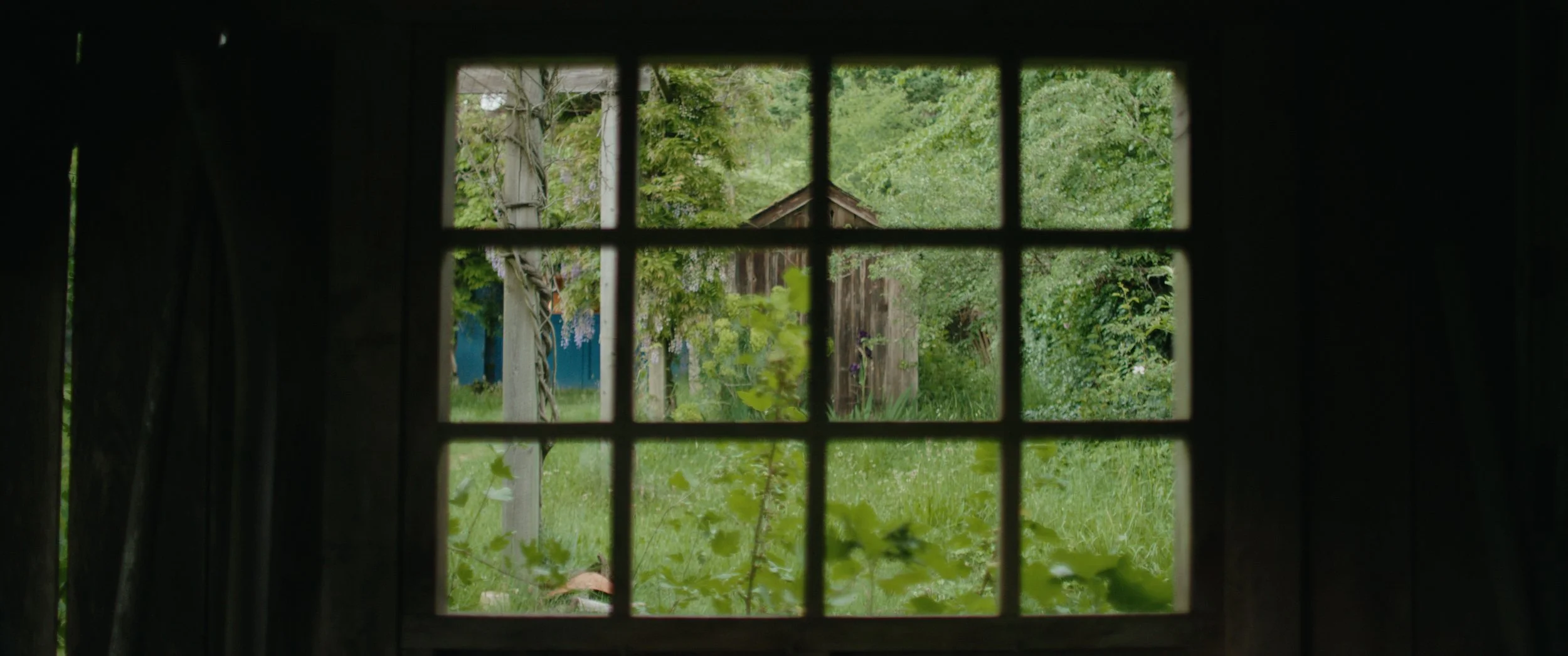 Still 2025-05-31 233123_1.57.1.jpg