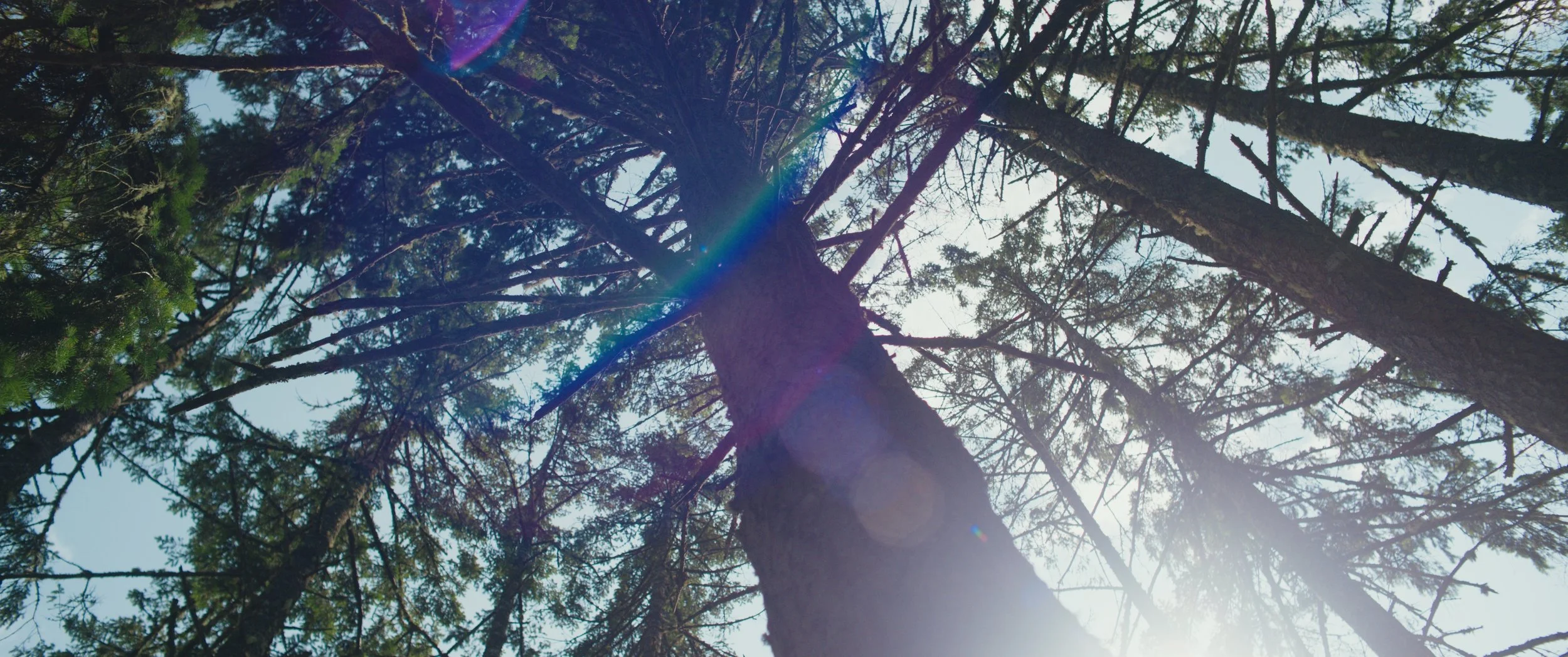 Still 2025-05-31 233123_1.18.2.jpg