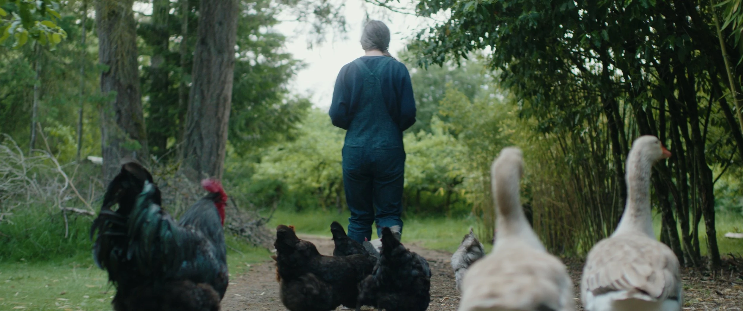 Still 2025-05-31 233123_1.25.1.jpg