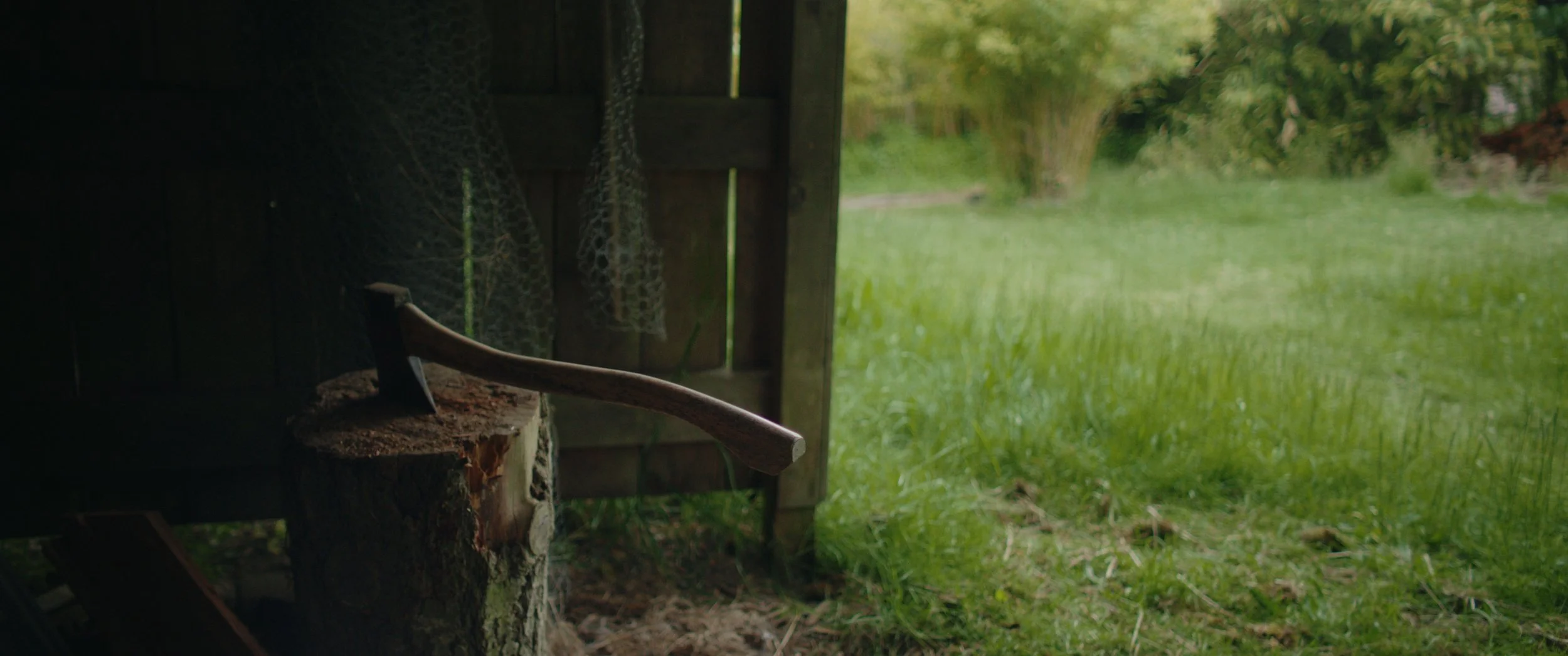 Still 2025-05-31 233123_1.58.1.jpg