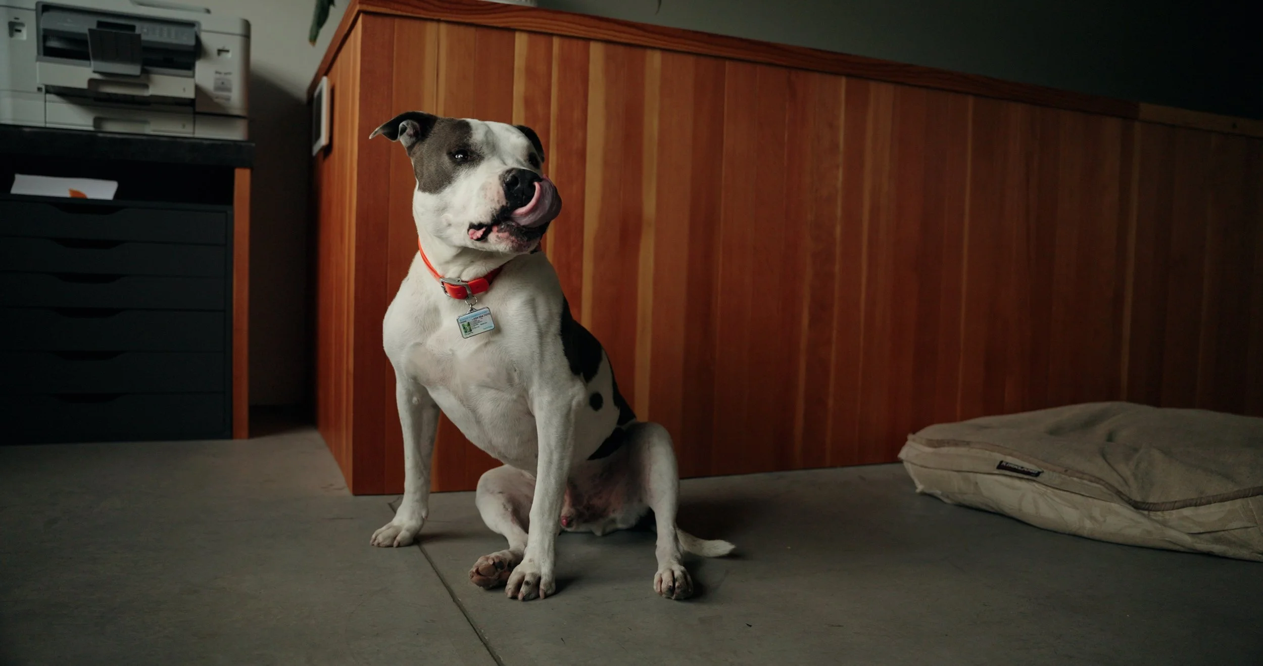 B Roll Stringout.00_11_26_05.Still002.jpg