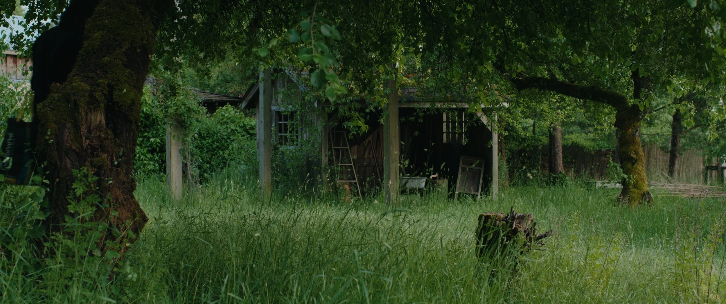 Still 2025-05-31 233123_1.65.1.jpg