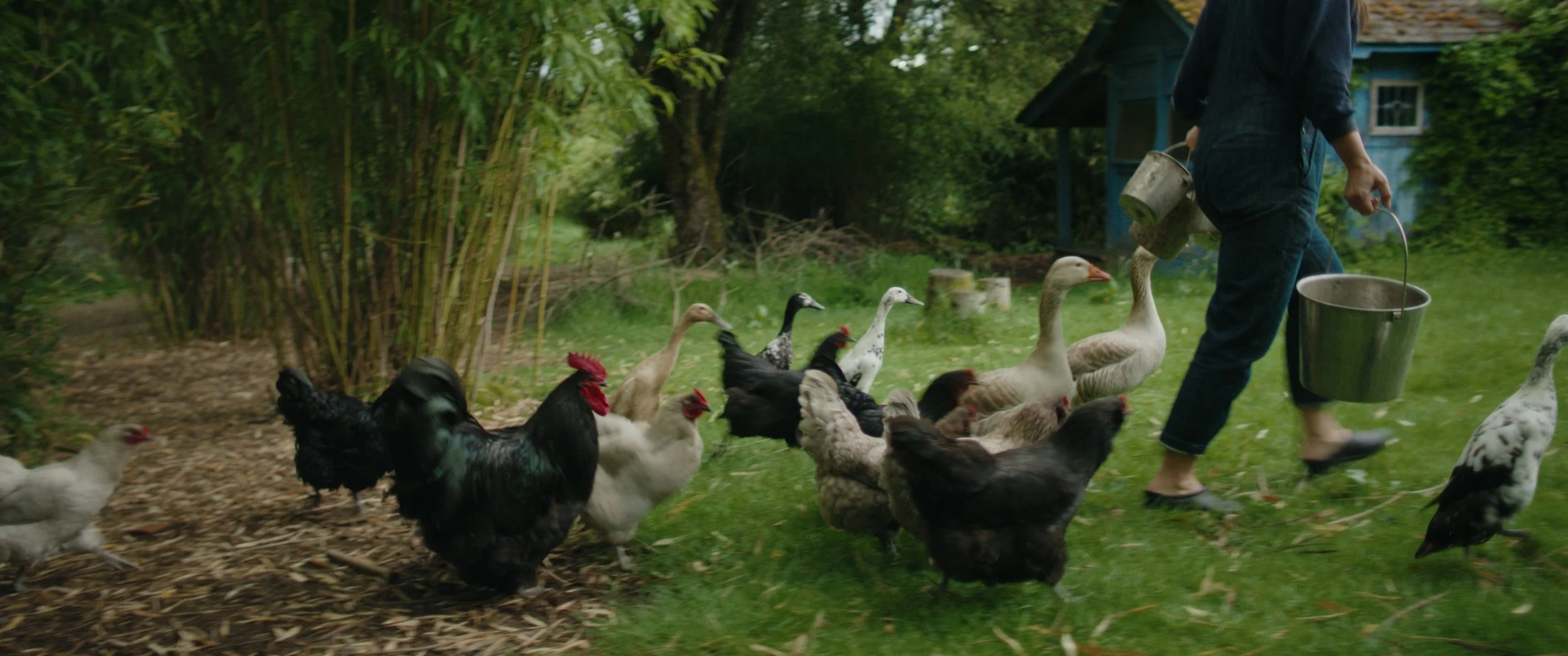 Still 2025-05-31 233123_1.38.1.jpg