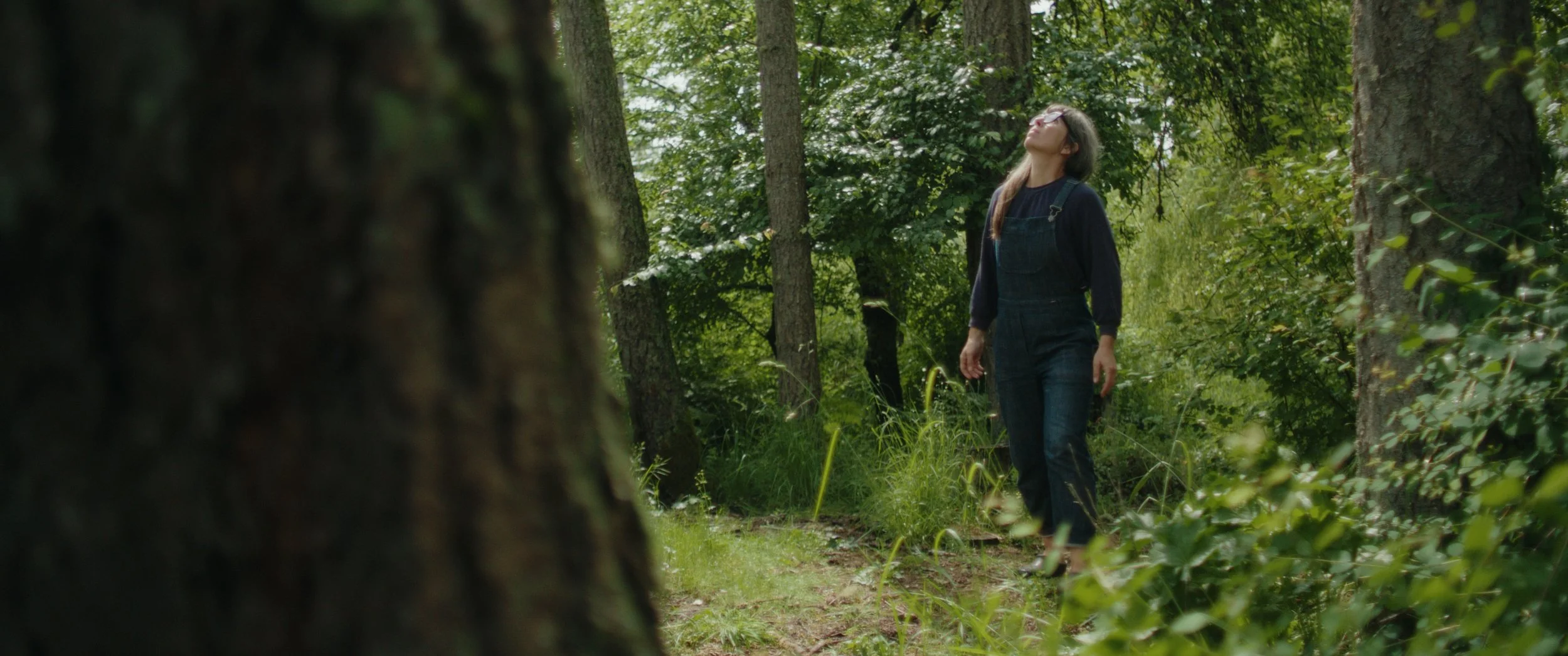 Still 2025-05-31 233123_1.11.1.jpg