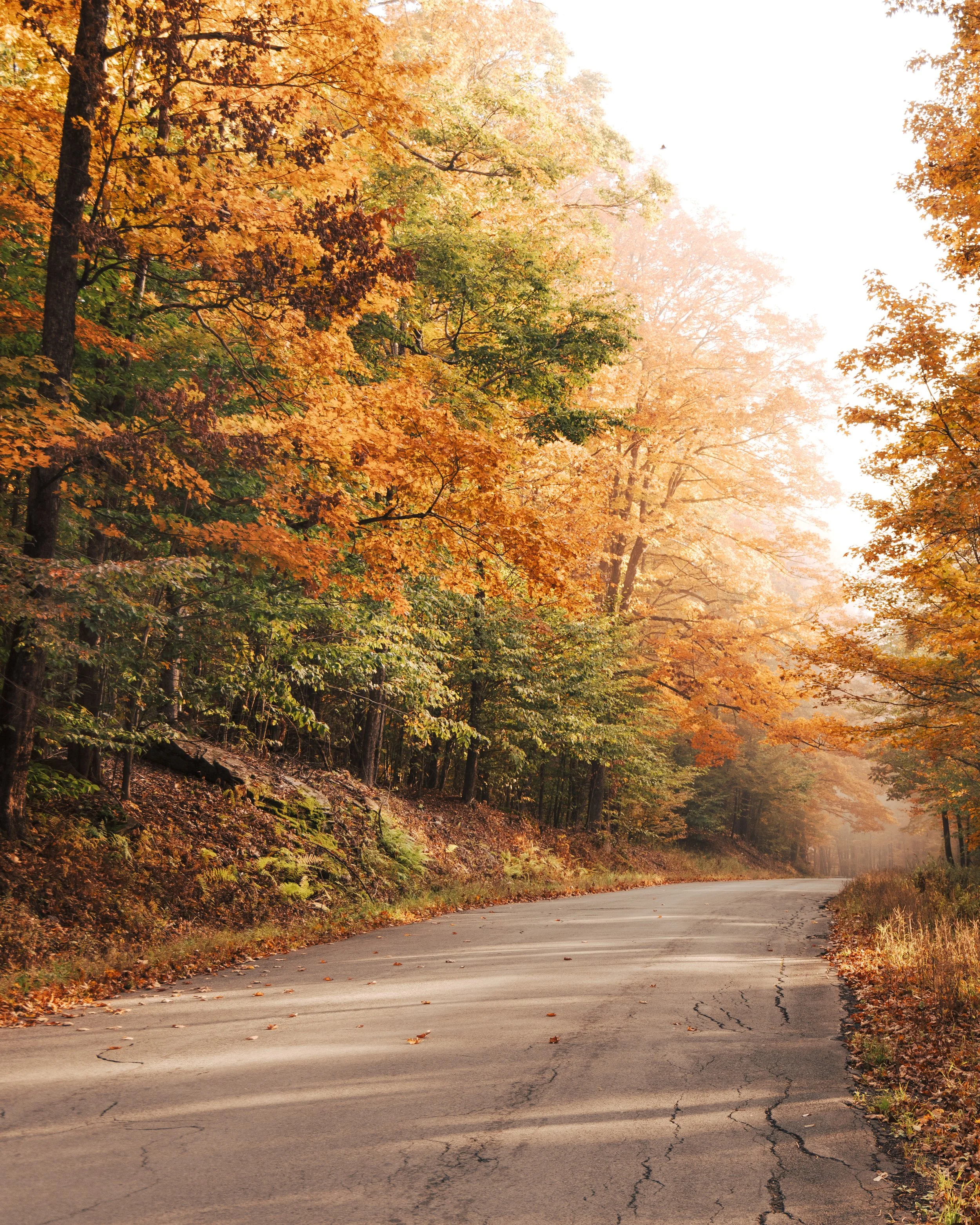 D73A6957-Edit.jpg