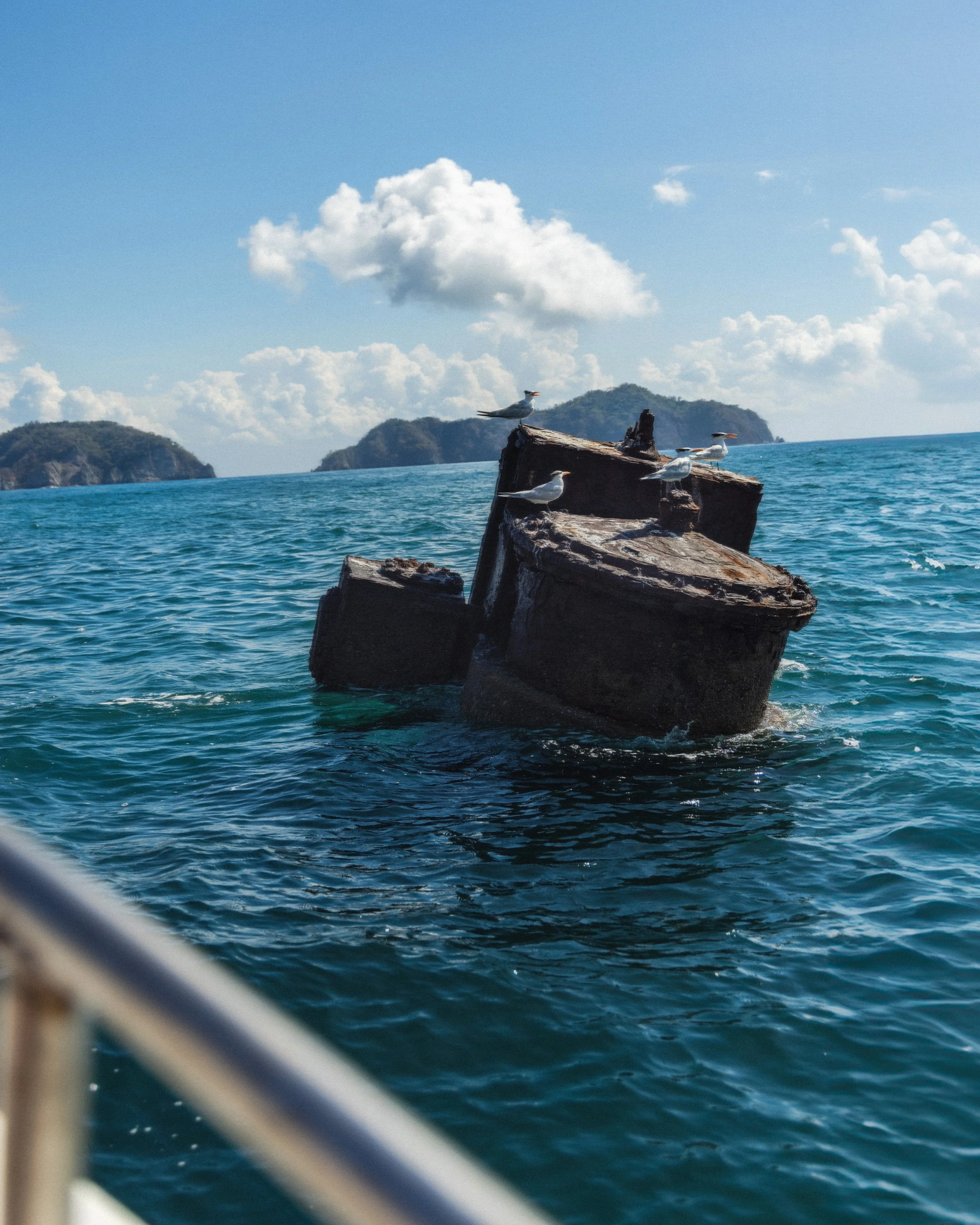 D73A1498-Edit.jpg