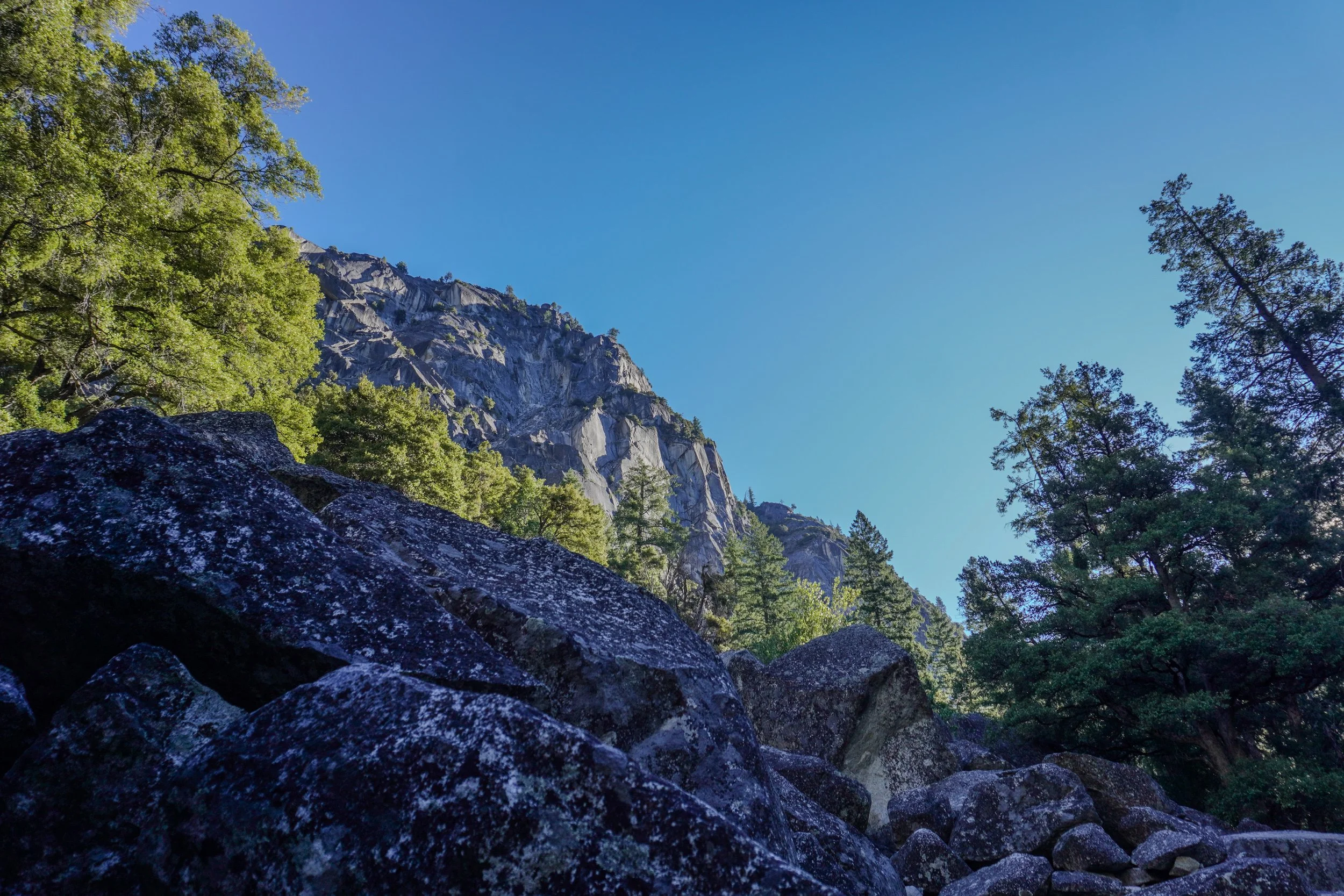 Yosemite 2-2.jpg