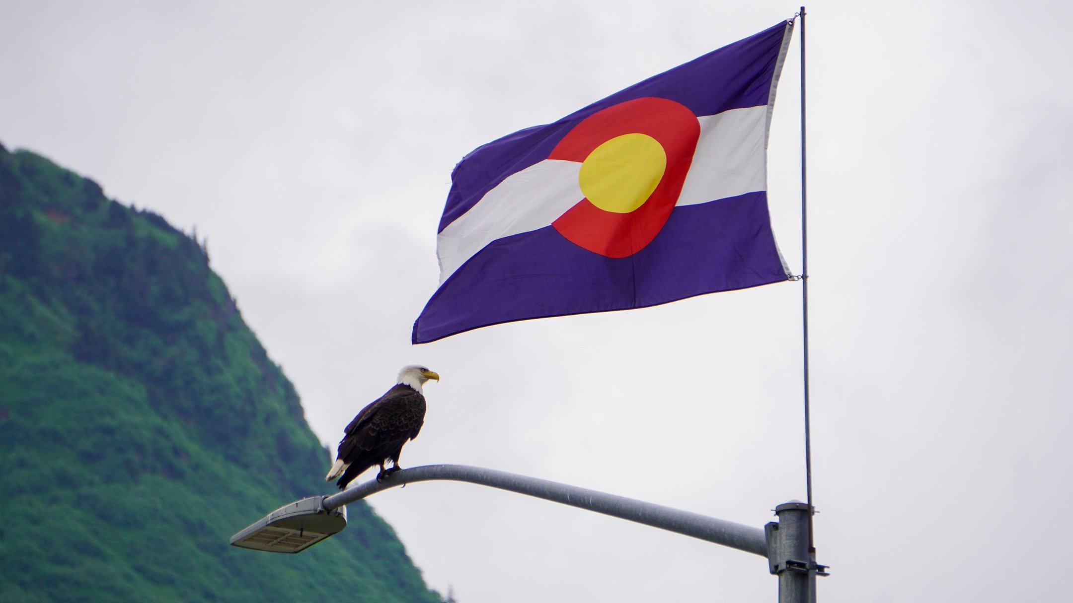 More photos from Juneau, Alaska 🦅

#photography #photo #juneau #juneaualaska #alaska