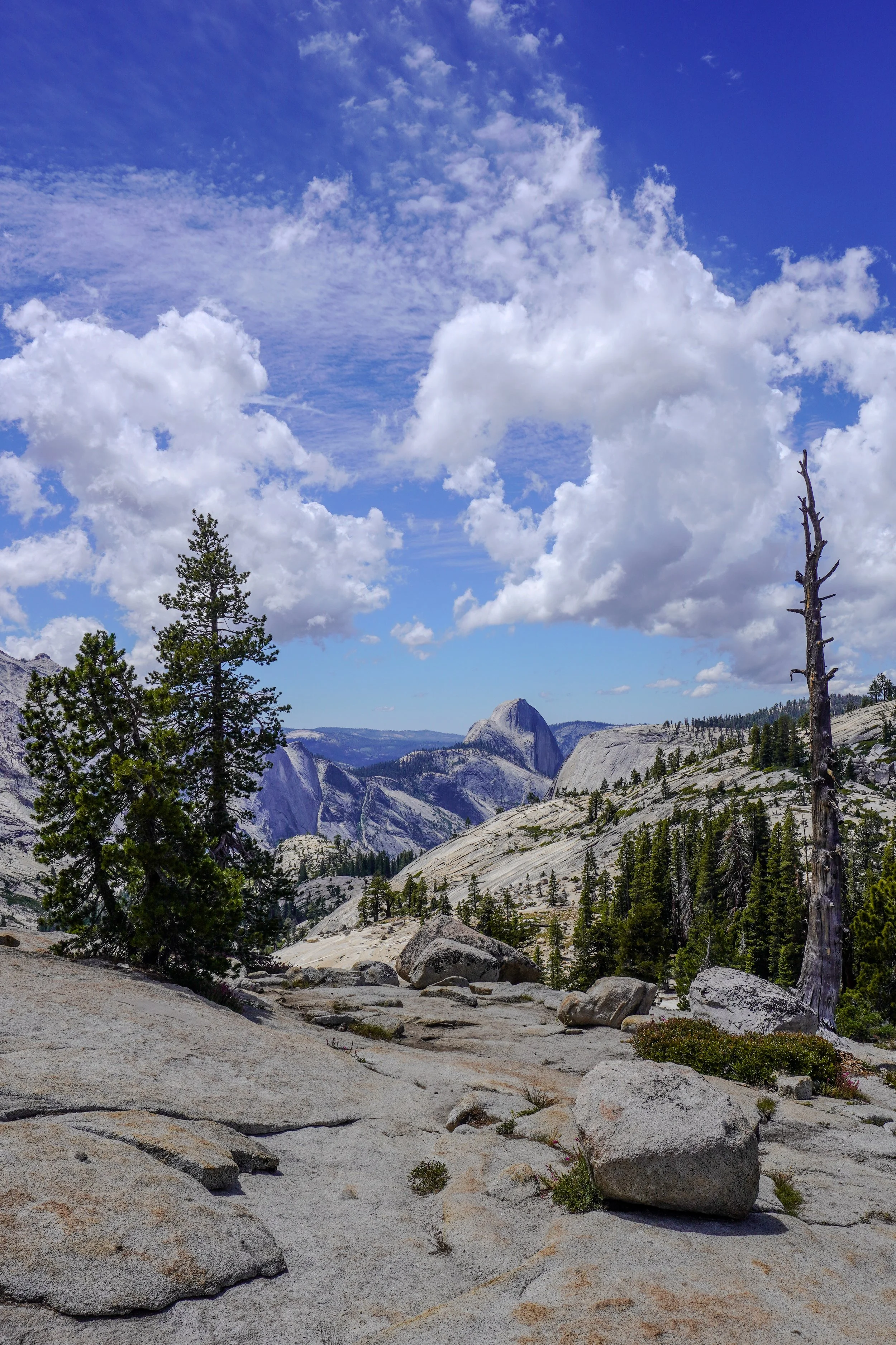 Yosemite 2-5.jpg