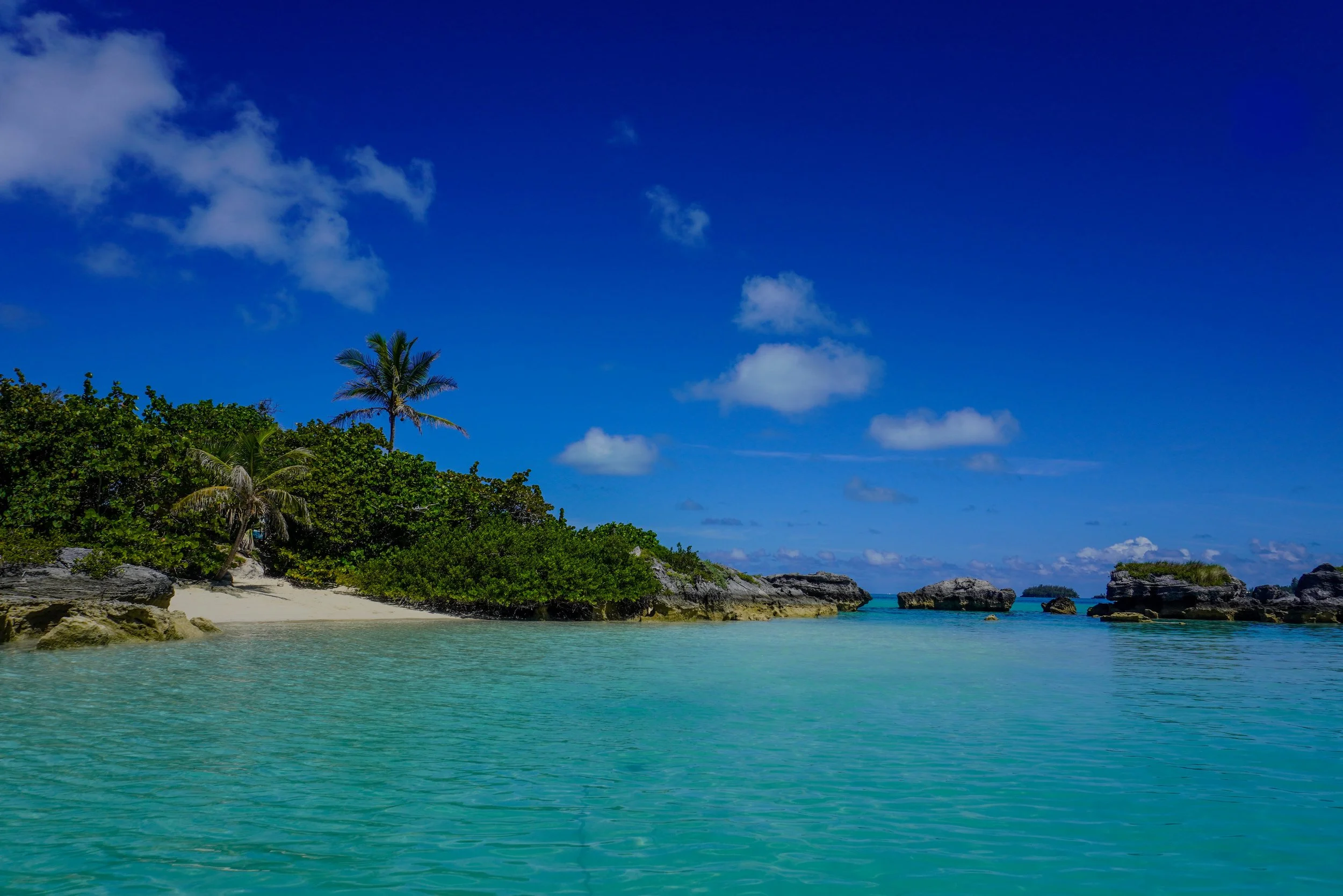 DSC09201.jpg