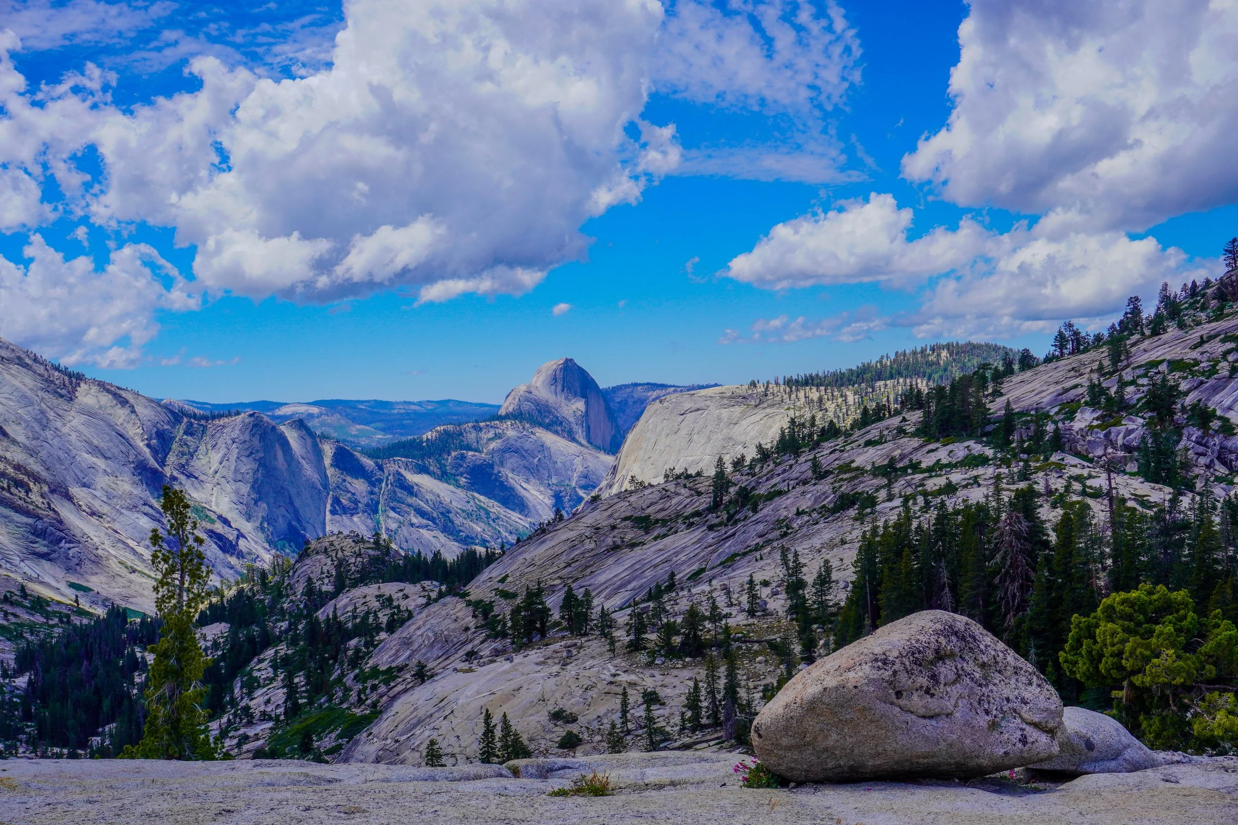 Yosemite 2-9.jpg