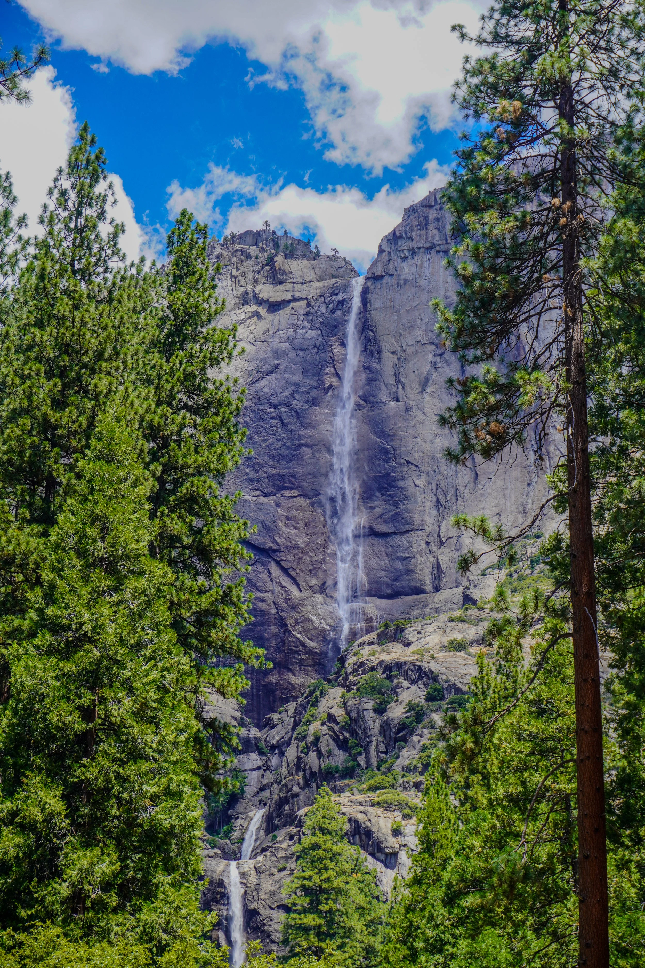 Yosemite 2-3.jpg