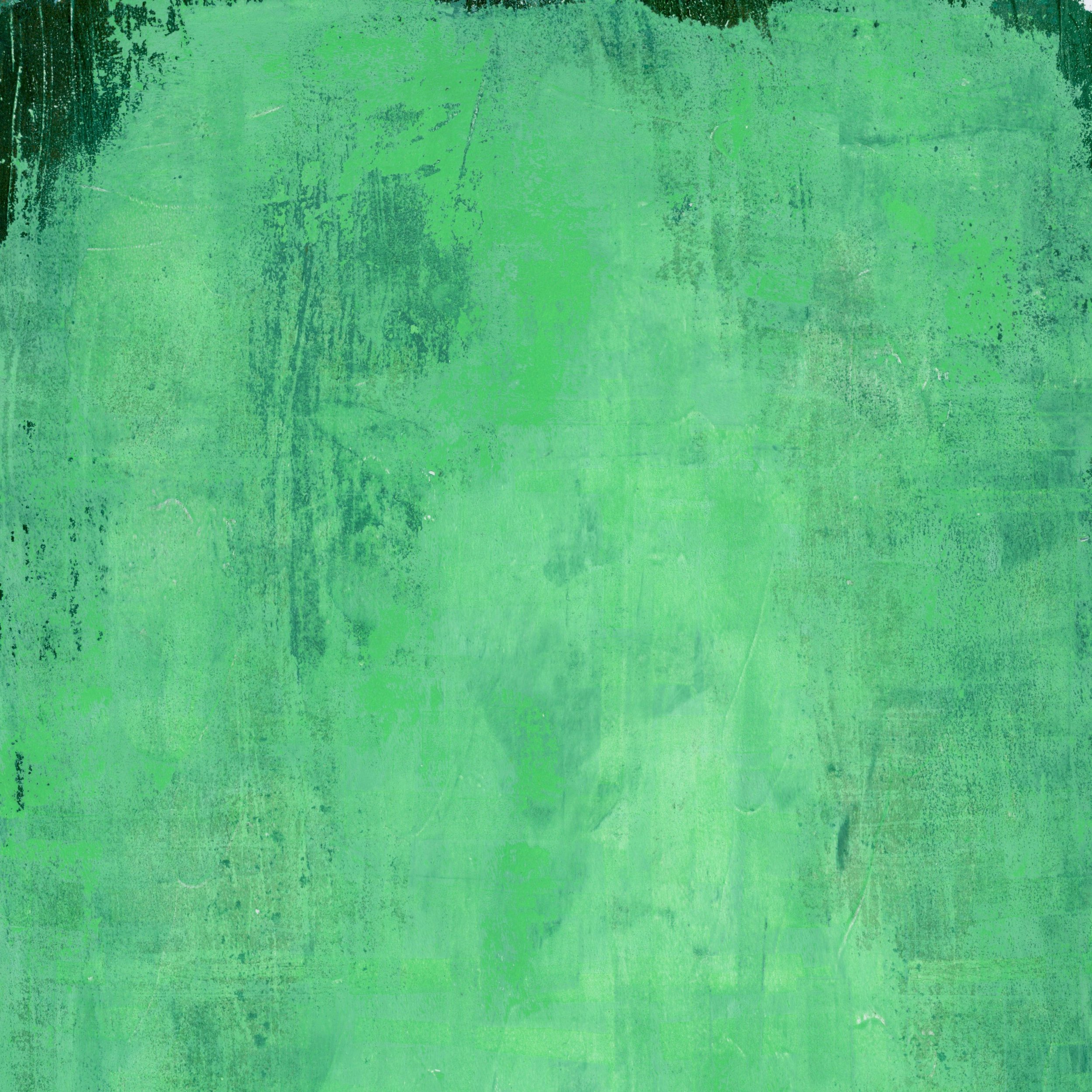 CDSAA_GREEN3_02.jpg
