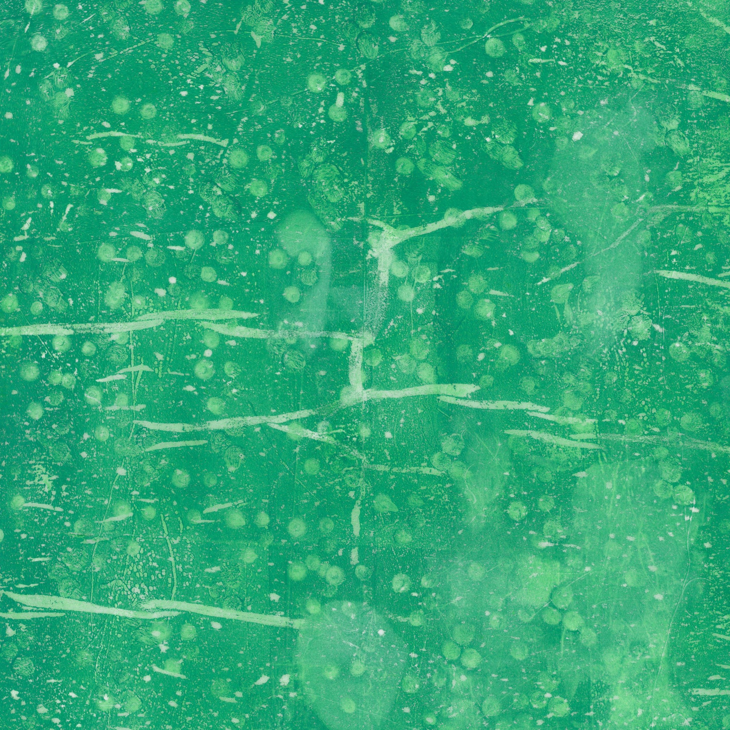 CDSAA_GREEN3_04.jpg