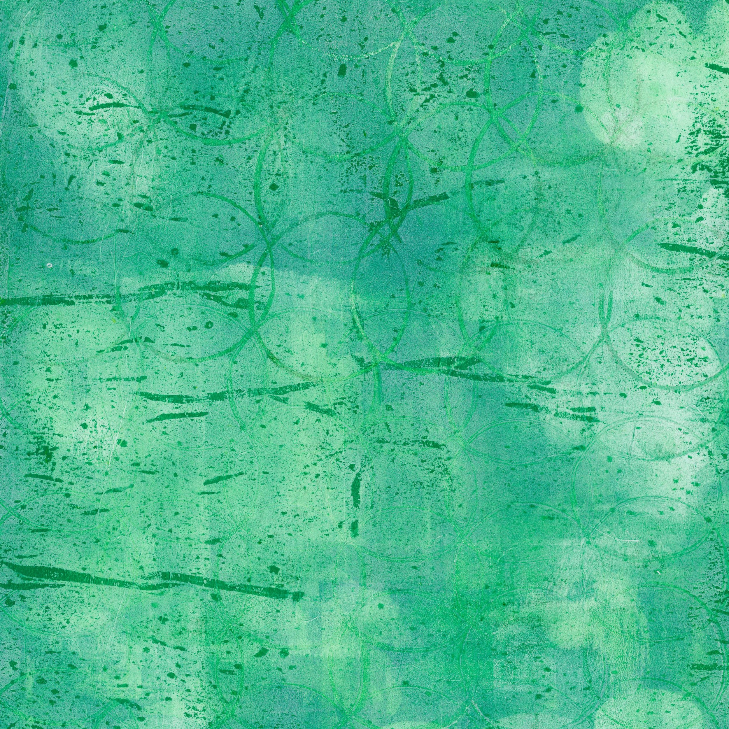 CDSAA_GREEN3_03.jpg