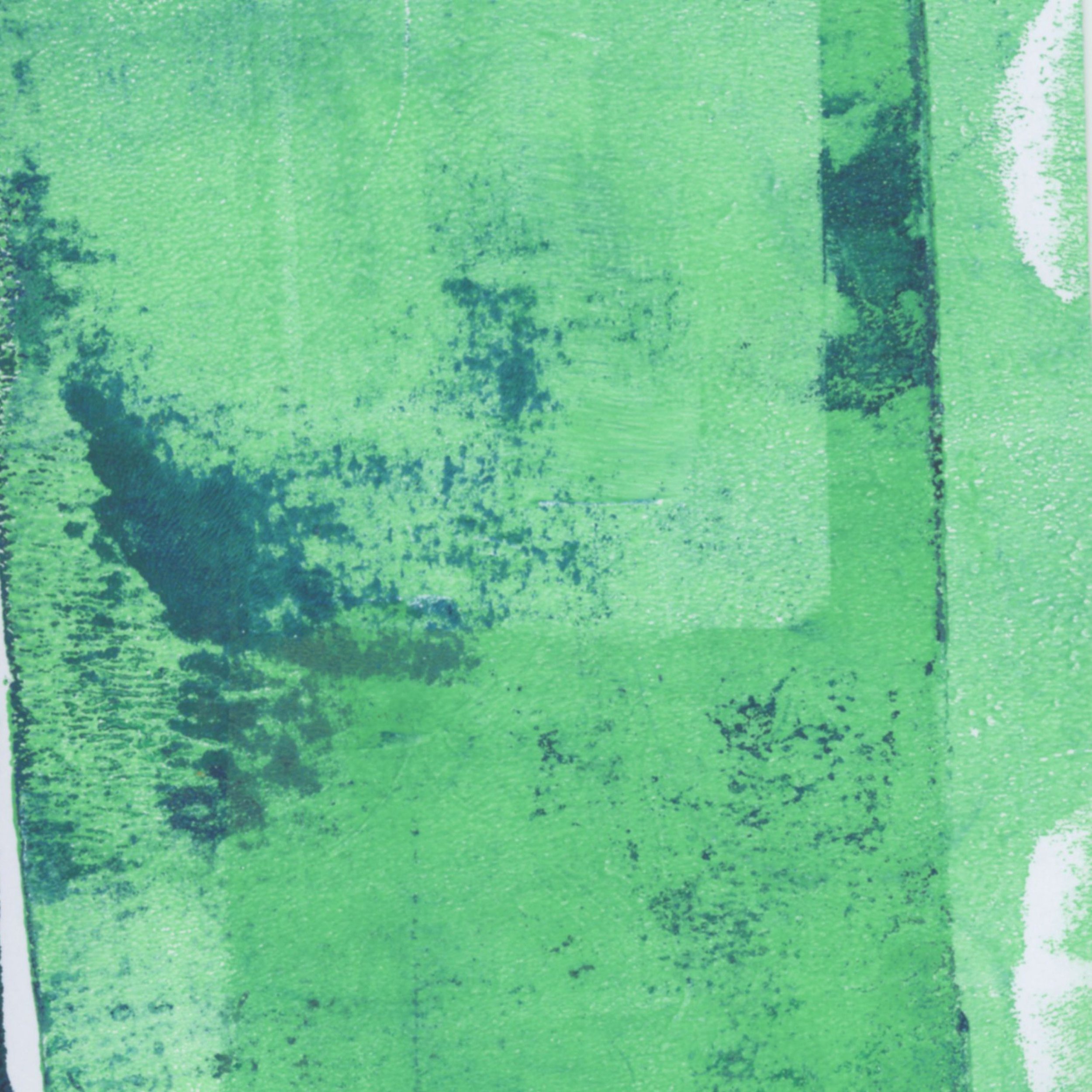 CDSAA_BLUEGREEN1_02.jpg