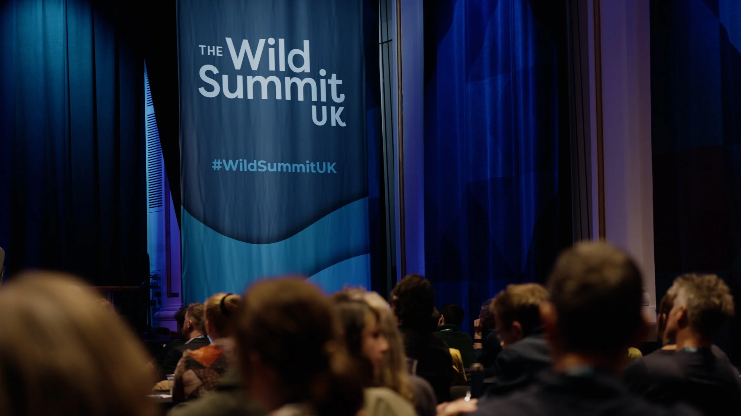 Wild Summit_1 min C2.00_00_53_18.Still013.jpg