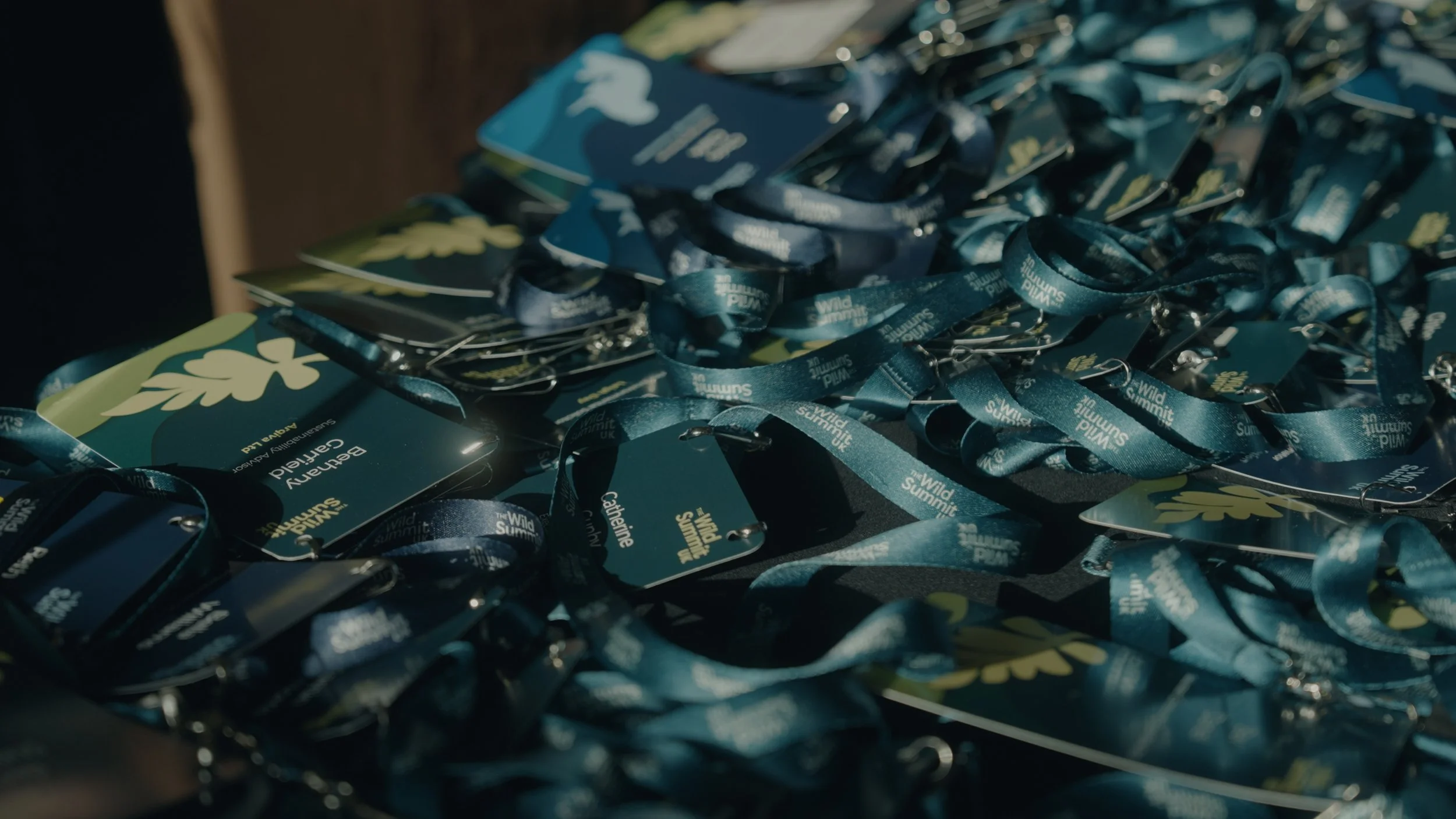 Wild Summit_1 min C2.00_00_08_14.Still003.jpg