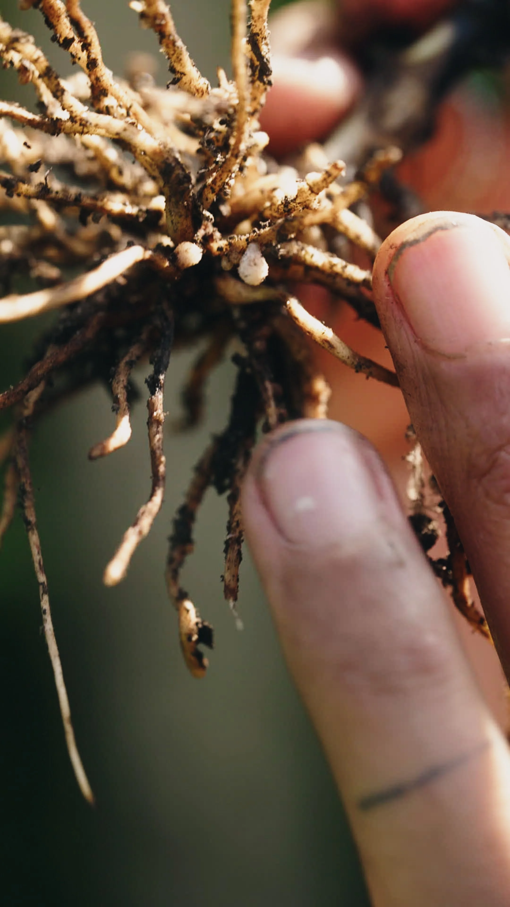 All footage.00_42_02_01.Still007.jpg