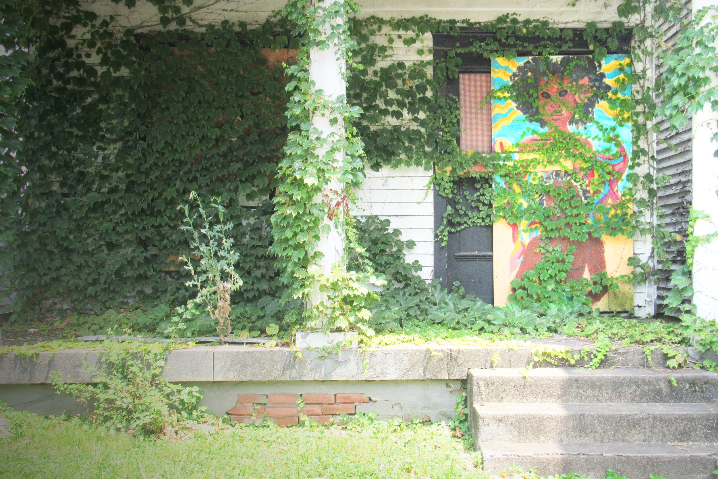 ivy copy 2.jpg