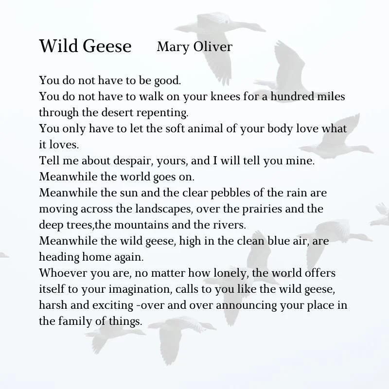 WhatsApp Image 2024-02-04 at 12.11.51 PM.jpeg