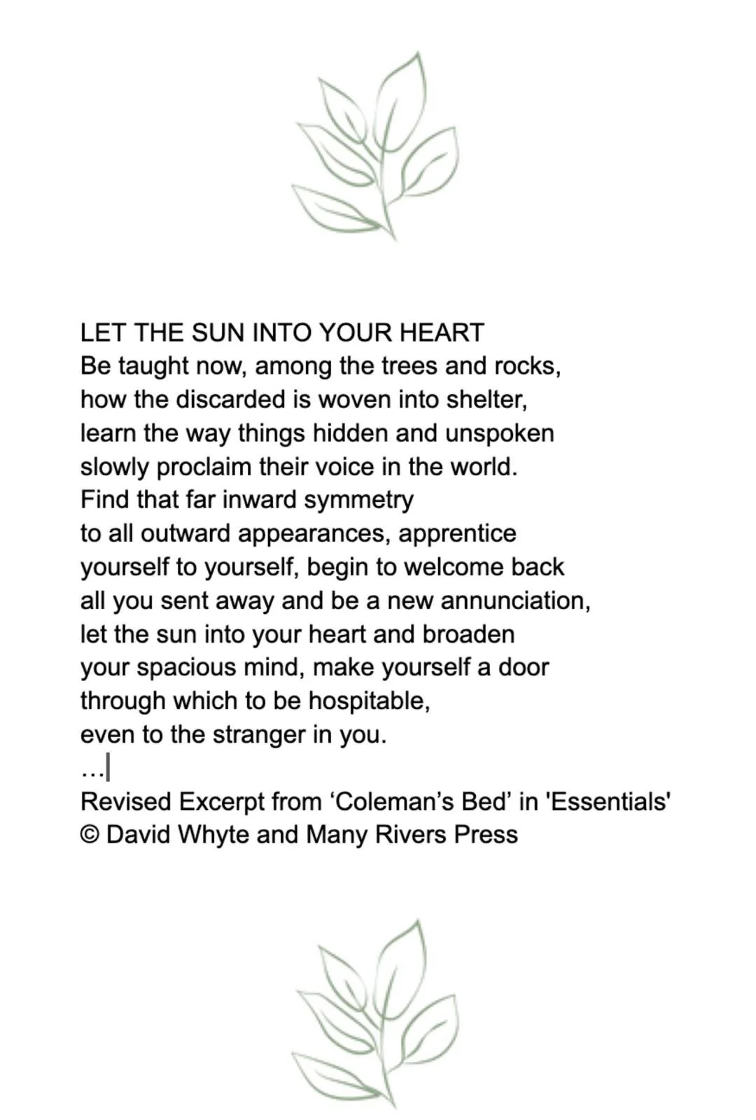 WhatsApp Image 2024-02-04 at 12.15.18 PM.jpeg