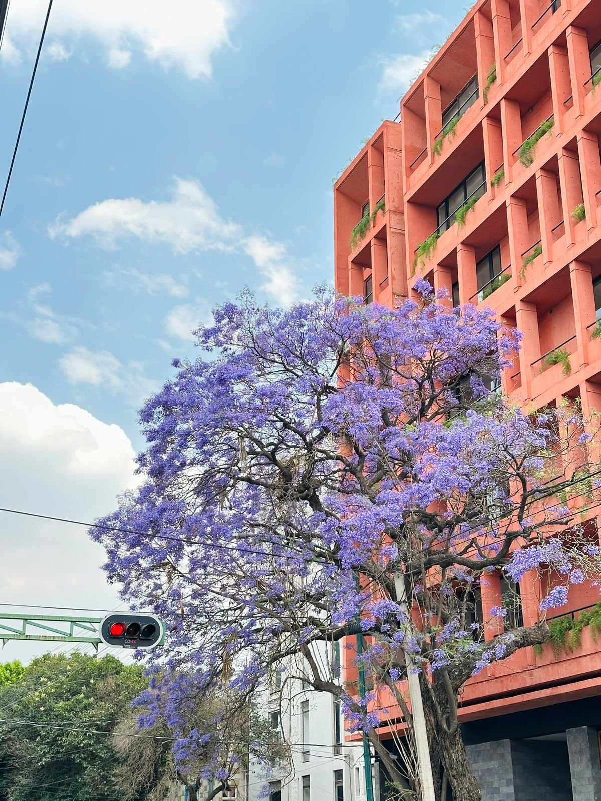 WhatsApp Image 2024-03-20 at 8.57.43 PM.jpeg