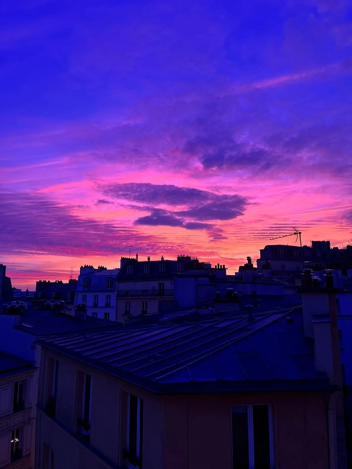 WhatsApp Image 2024-03-21 at 7.24.15 PM.jpeg