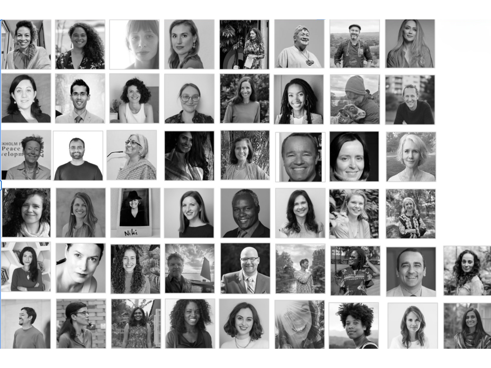 What Belongs Here: A Year in the Life of the Ecological Belonging Network