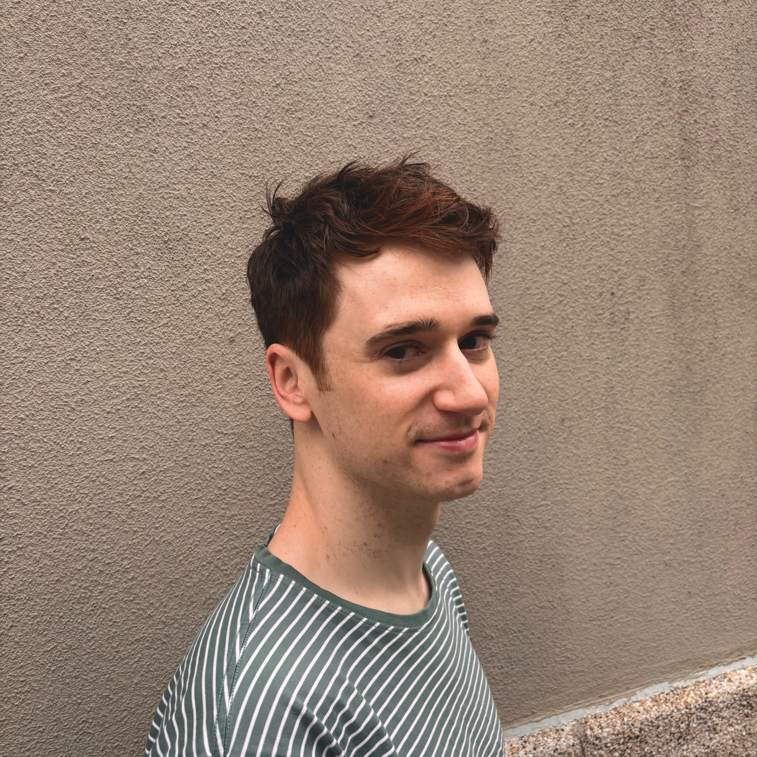 Chris Haircut.png