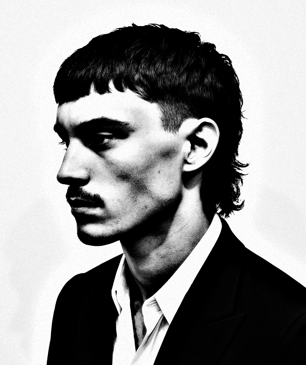 Modern Mullet