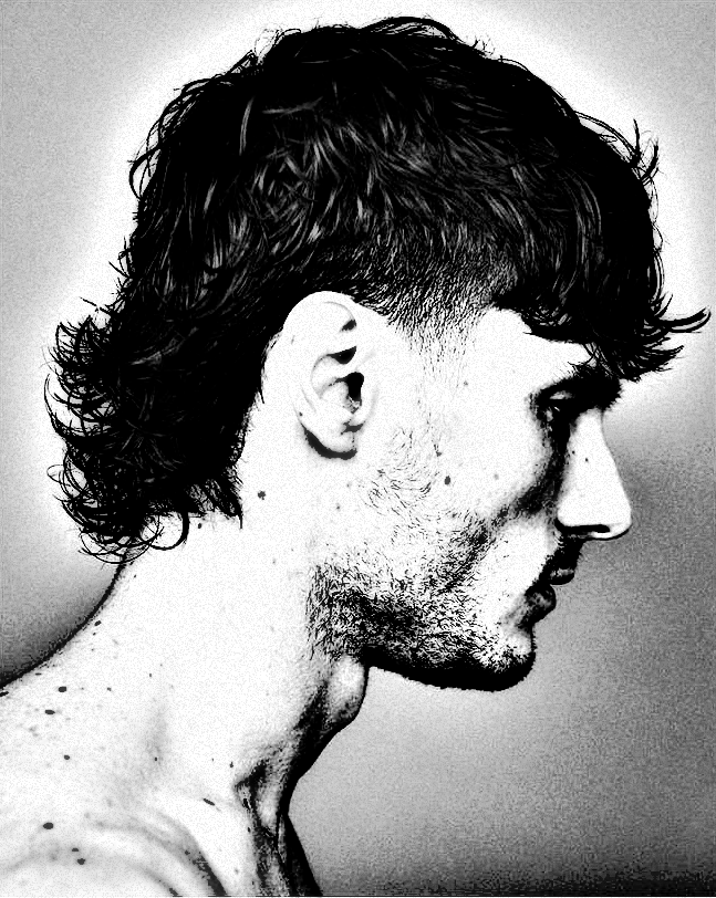 Mullet with Fade