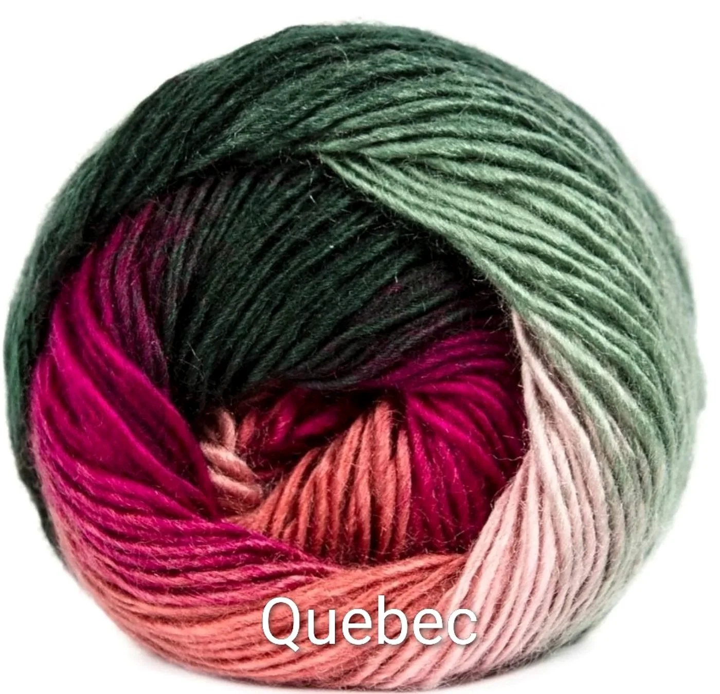 hobbii-carnival-quebec.jpg